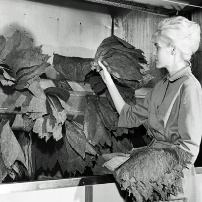 Tobak-Malmö-Svenska-Tobaksmonopolet-Beredning-1950-Snus-och-Tändsticksmuseum