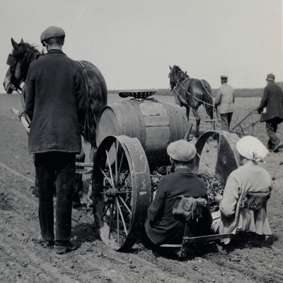 Tobakdsoling-STM-Sådd-Snus-och-Tändsticksmuseum