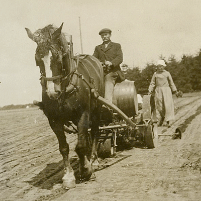 Jordbruk-Odling-1920-Tobak-Snus-och-Tändsticksmuseum